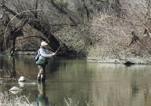 How to Reduce Environmental Impact in the Feather River Stewardship Coalition Charter